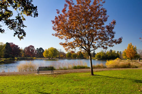 Banco vazio do parque pelo lago na queda — Fotografia de Stock