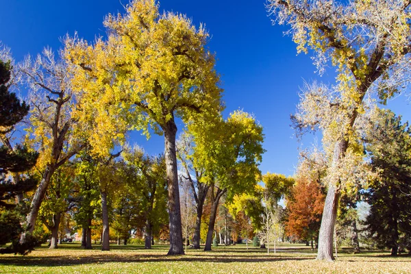 Sunny Fall Day in the Park — Stock Photo, Image