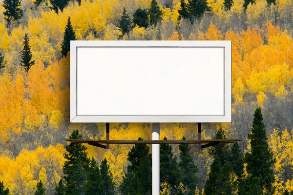 Cartelera en blanco con bosque de árboles de Aspen de otoño — Foto de Stock