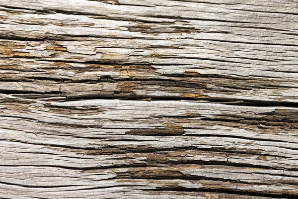 Old Cracked Wood Texture — Stock Photo, Image