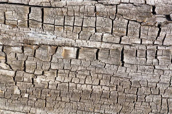 Cracked Old Wood Texture Background — Stock Photo, Image