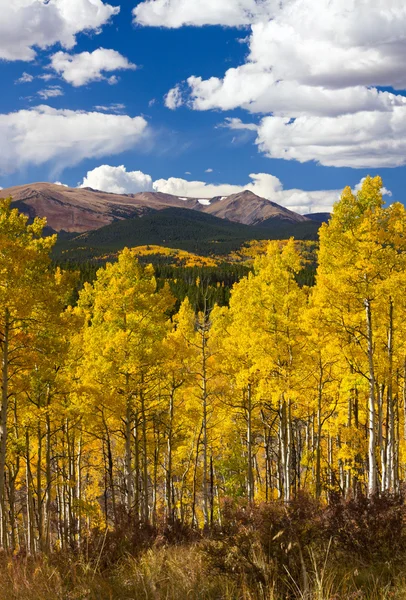 Colorado Skalisté hory spadají na šířku — Stock fotografie