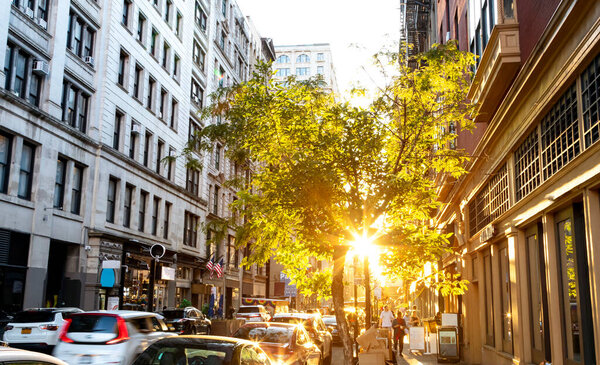 People walking down the busy sidewalk on 17th Street in Manhattan New York City with sunlight shining through the trees