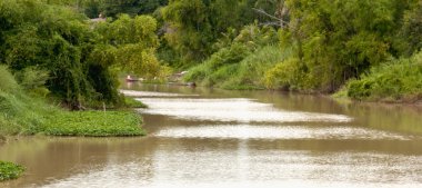 kırsal canal