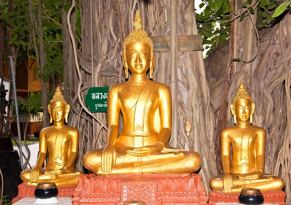 Estátua de Buda . — Fotografia de Stock