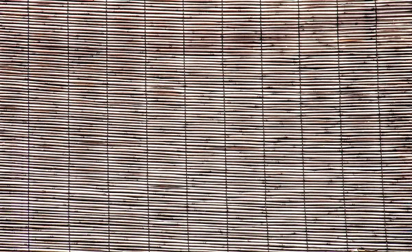 Bamboe muren. — Stockfoto