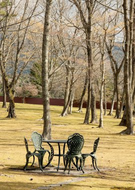 Bahçe masa ve sandalyeler