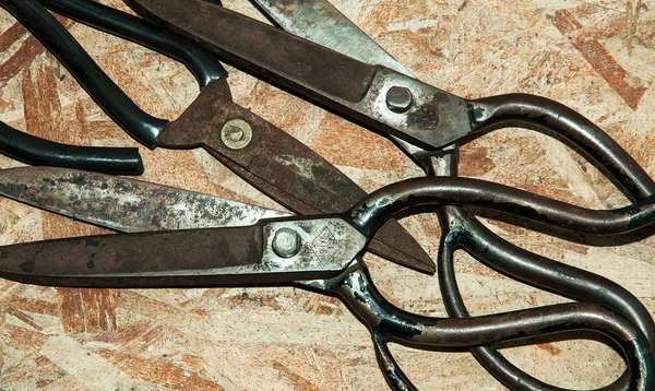 Leather Scissors — Stock Photo, Image