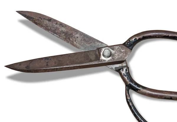 Leather Scissors — Stock Photo, Image