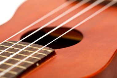 Ukulele