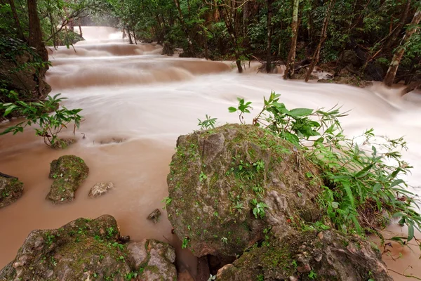 Zavaros víz trópusi vízesés kemény eső után — Stock Fotó