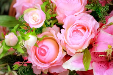 renkli Suni çiçekler