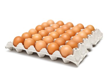 yumurta kağıt tepsisi