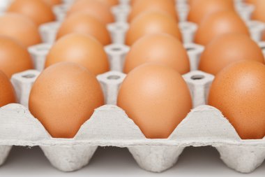 yumurta kağıt tepsisi