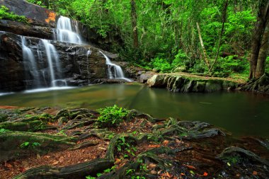Tayland doğusunda tropikal orman şelale