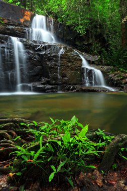 Tayland doğusunda tropikal orman şelale