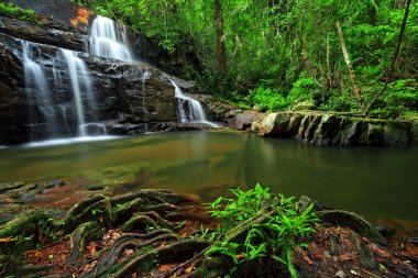 Tayland doğusunda tropikal orman şelale
