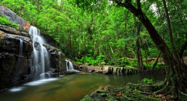 Tayland doğusunda tropikal orman şelale