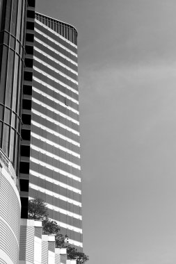 yüksek cam siyah-beyaz bina