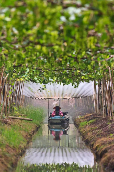 Agriculturist watering in fruit garden — Stock Photo, Image