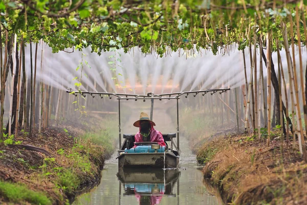 Agriculturist watering in fruit garden — Stock Photo, Image