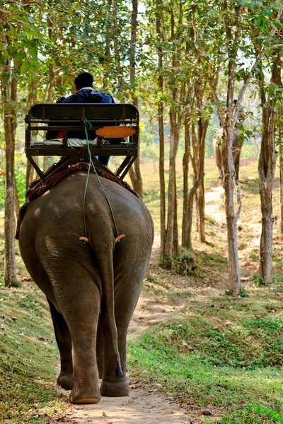 Elephant riding for tourists in nort of Thailand — Stock Photo, Image
