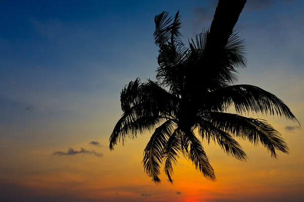 Céu colorido ao pôr do sol — Fotografia de Stock