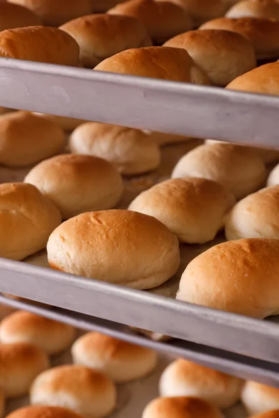 Pão quente fresco em trey — Fotografia de Stock