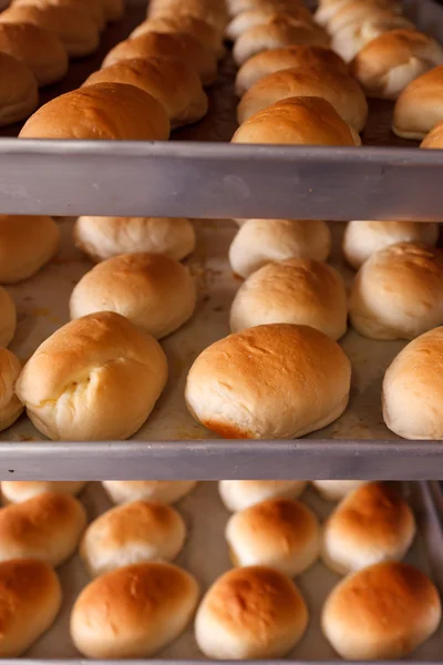 Pão quente fresco em trey — Fotografia de Stock