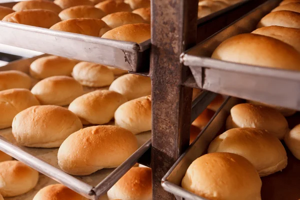 Pão quente fresco em trey — Fotografia de Stock