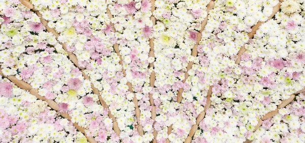 Carta da parati fiore — Foto Stock