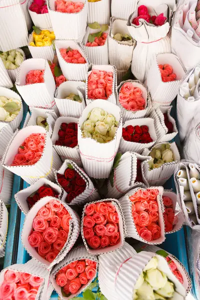 Bunte Blumen im Geschäft — Stockfoto