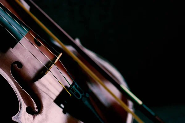 Geige Vintage Musikinstrument Des Orchesters Mit Natürlichem Licht Aufgenommen — Stockfoto