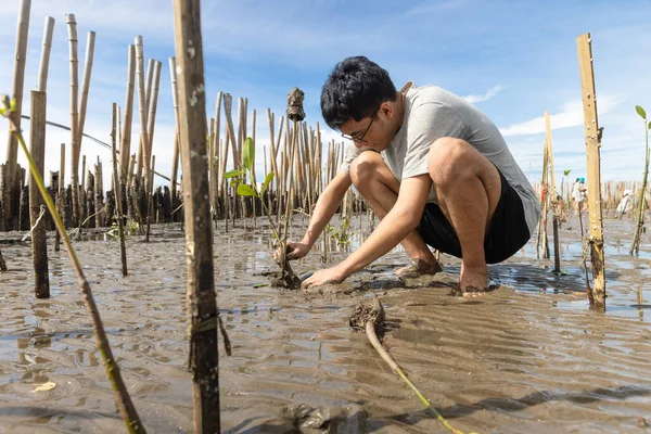 Asian Teenage Boy Volunteer Reforest Mangrove Forest Rehabilitation Sitting Cud — Stock Photo, Image