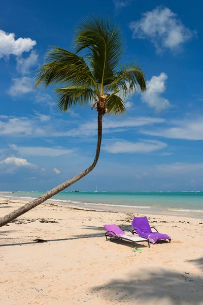 Sunbeds on a Caribbean beach — Stock Photo, Image