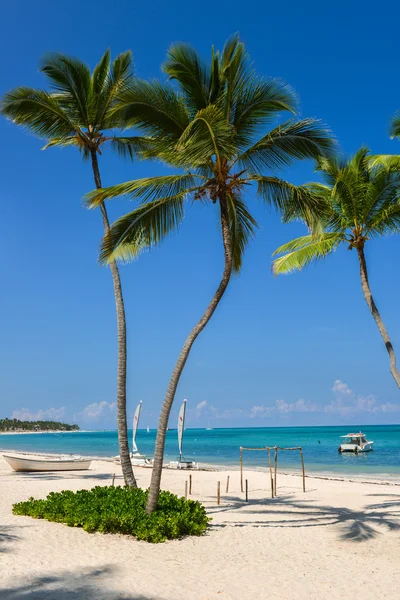 Praia tropical — Fotografia de Stock