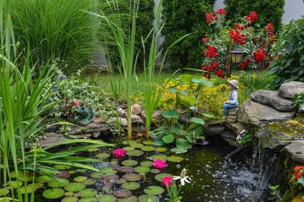 Wasserteich — Stockfoto