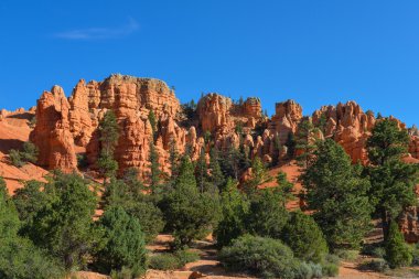 Kırmızı kaya oluşumu sedir sonları Milli Park, utah