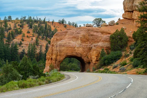 Cedar Breaks National Park — Stock Photo, Image