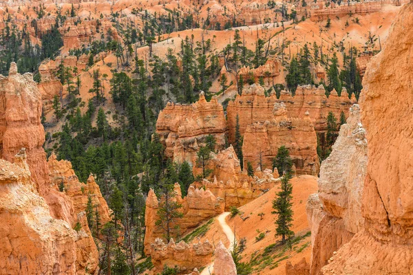 Canyon di Bryce — Foto Stock