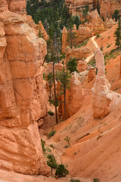 Canyon di Bryce — Foto Stock