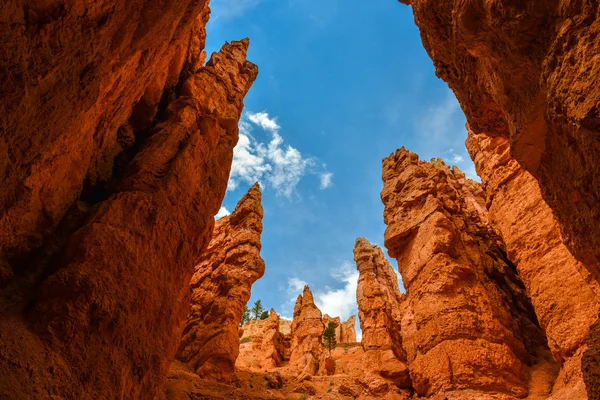 Canyon di Bryce — Foto Stock