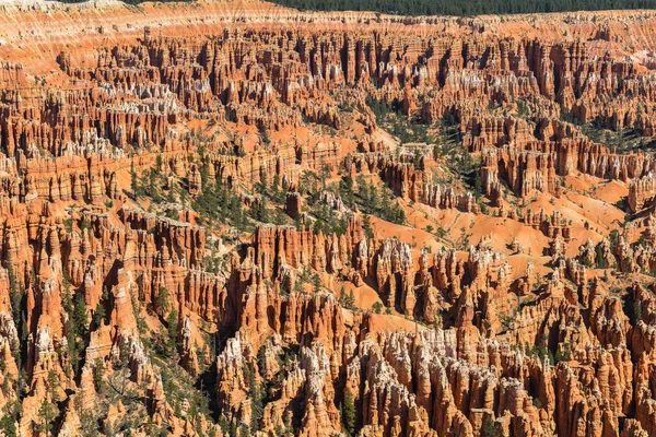 Bryce Canyon National Park, Utah — Stock Photo, Image