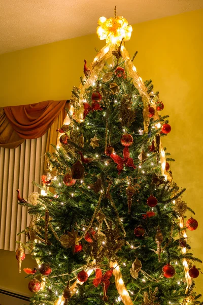 Arbre de Noël — Photo