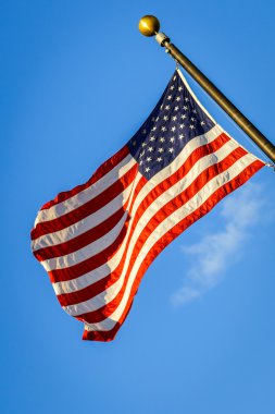 Amerikan bayrağı