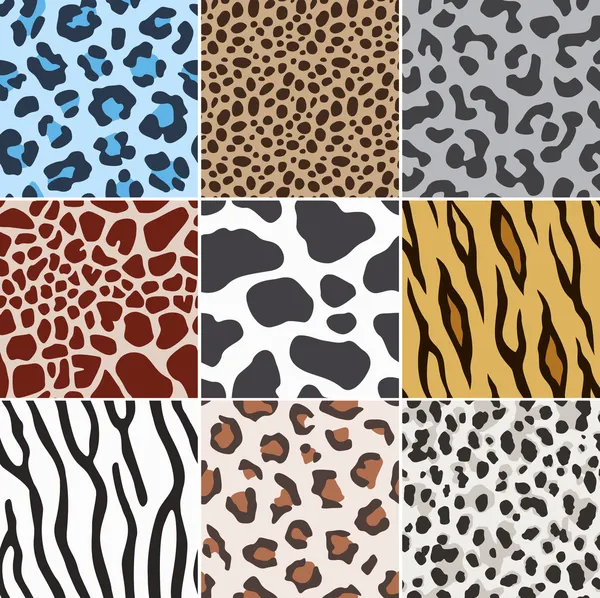 Cheetah print Vector Art Stock Images | Depositphotos