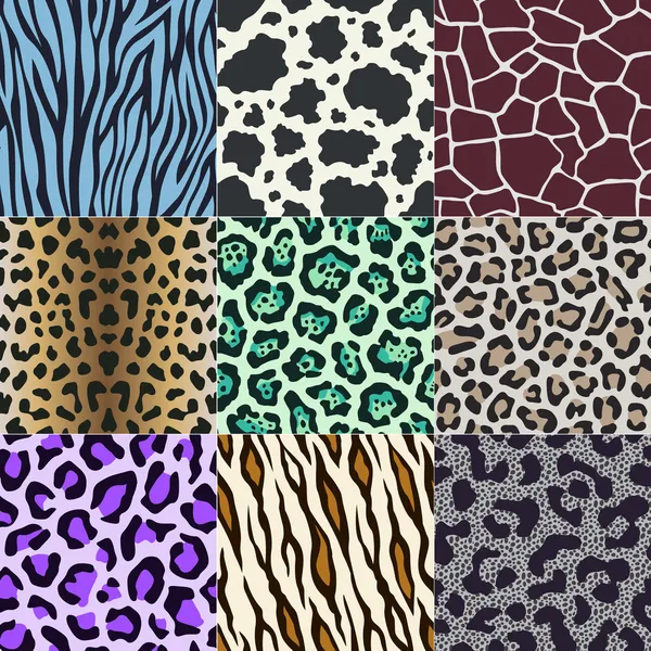 Naadloze koe, zebra, panther, tijger huid van een proefdier patroon — Stockvector