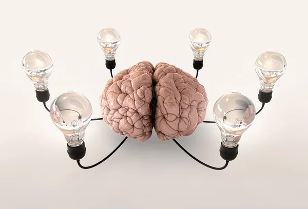 Hjärnan och glödlampa fantasi — Stockfoto