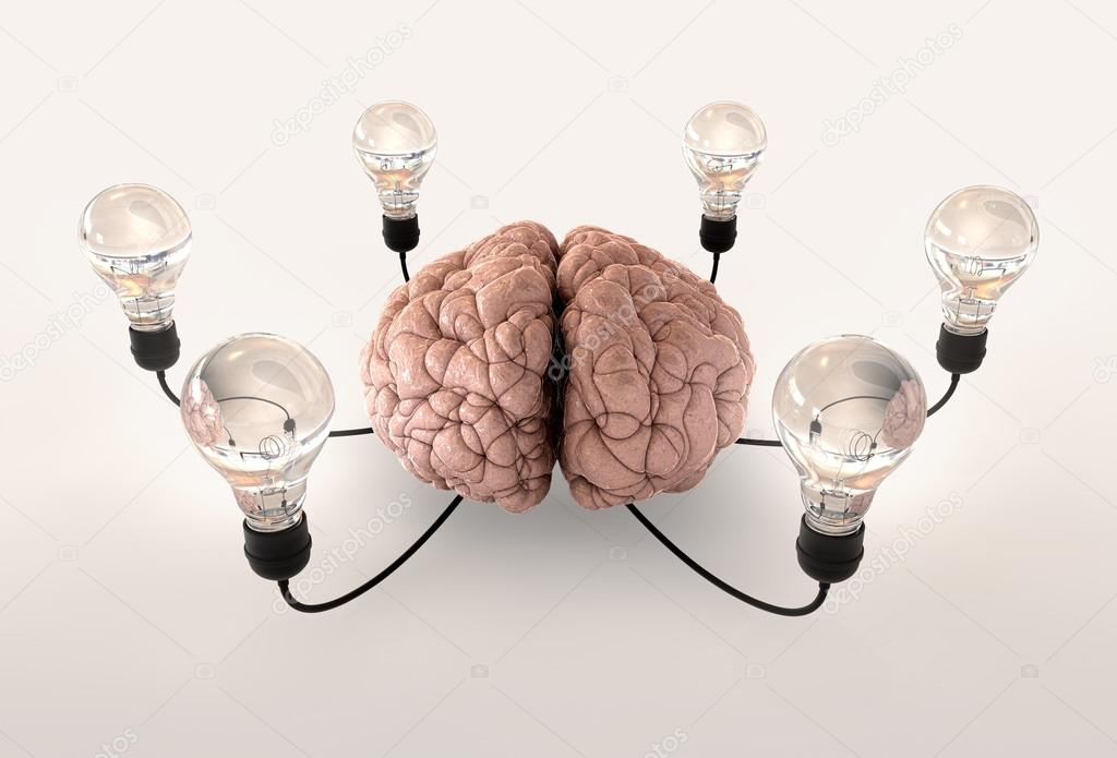 Brain And Lightbulb Imagination