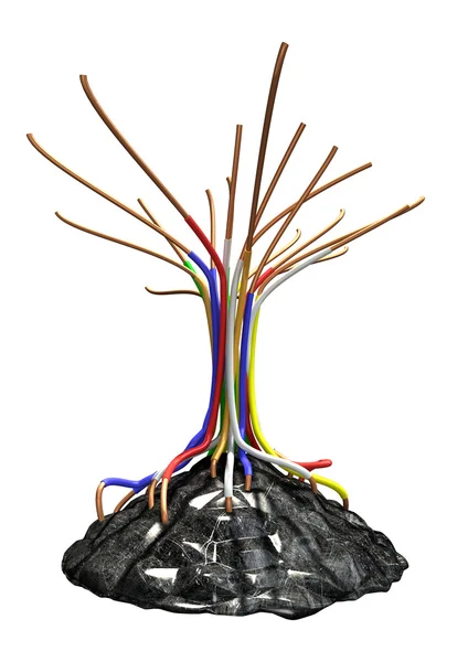 Endüstriyel kablo ağaç — Stok fotoğraf